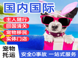 阿拉善左旗巴彦浩特航空运输国际宠物托运 【国